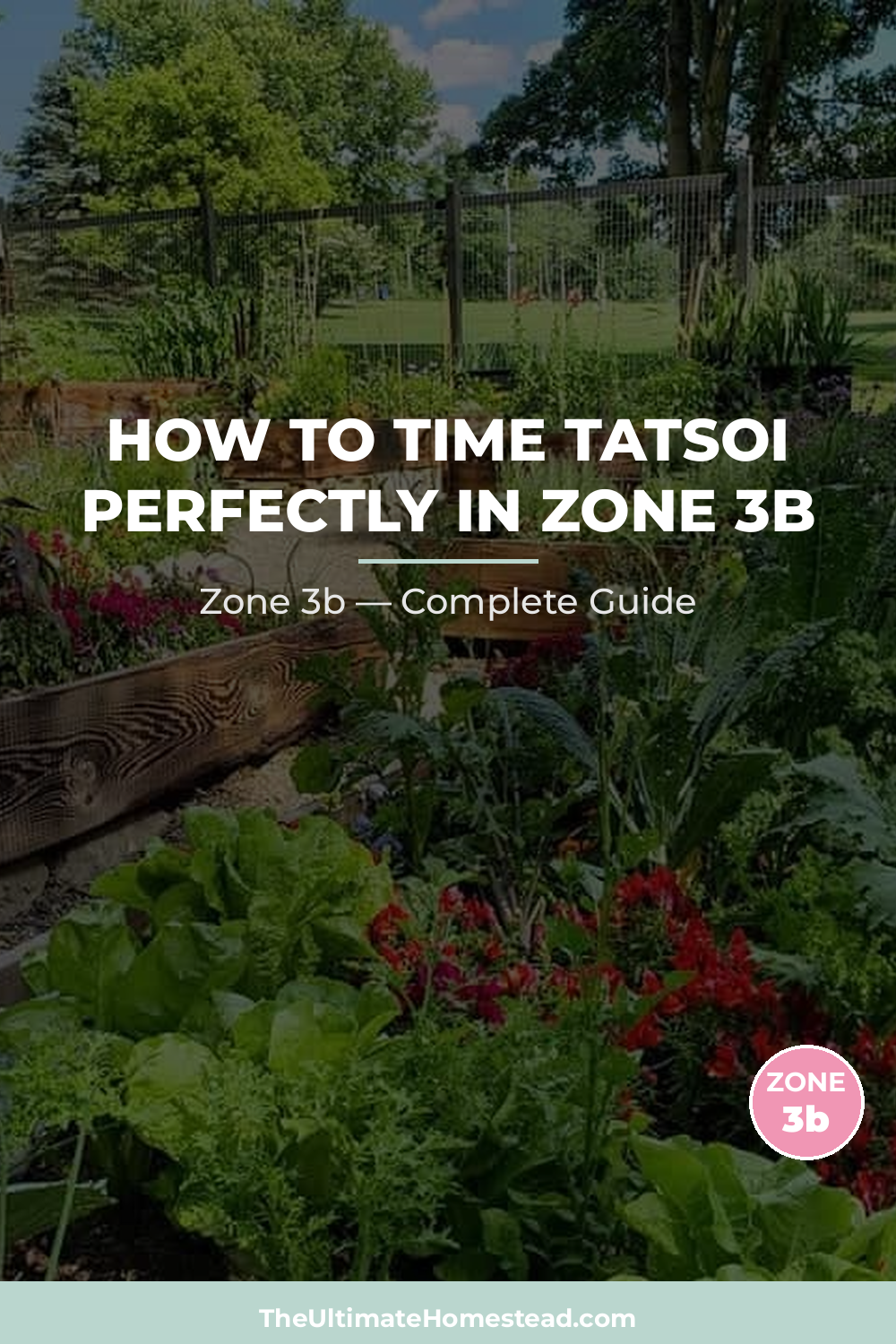 When to Plant Tatsoi in Zone 3b