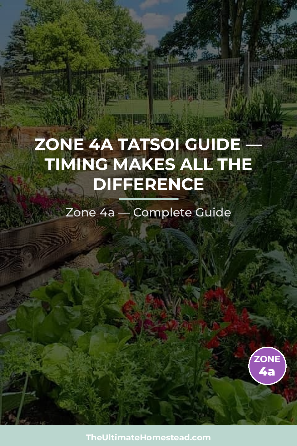 When to Plant Tatsoi in Zone 4a