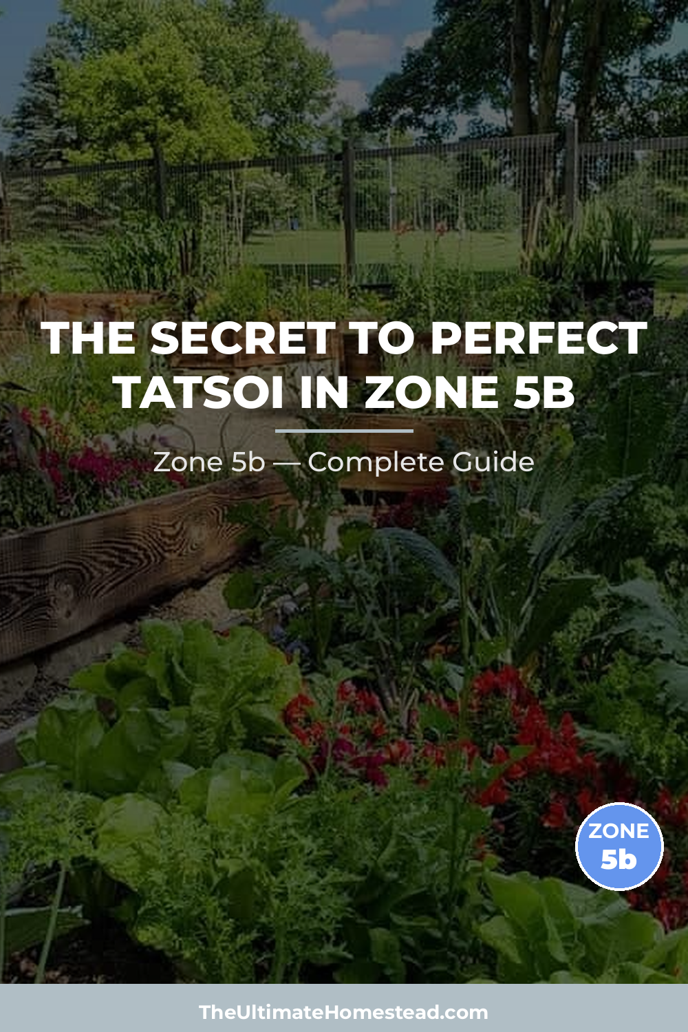 When to Plant Tatsoi in Zone 5b