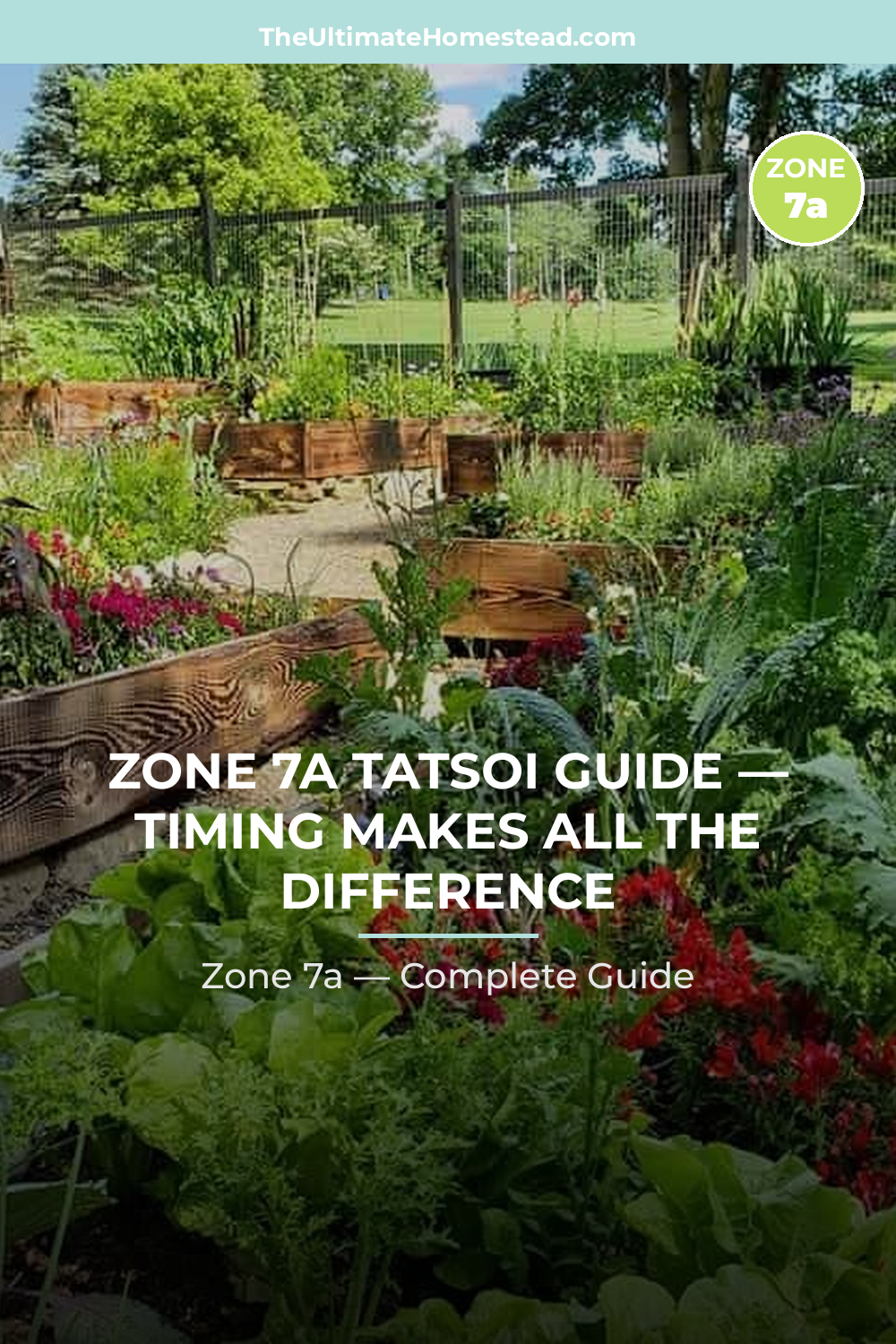 When to Plant Tatsoi in Zone 7a