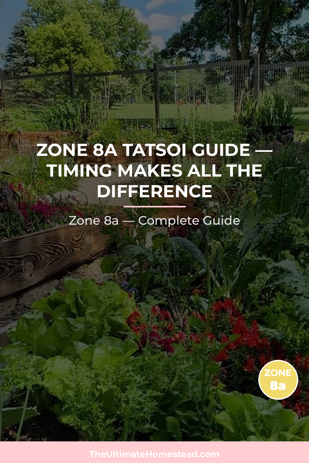 When to Plant Tatsoi in Zone 8a