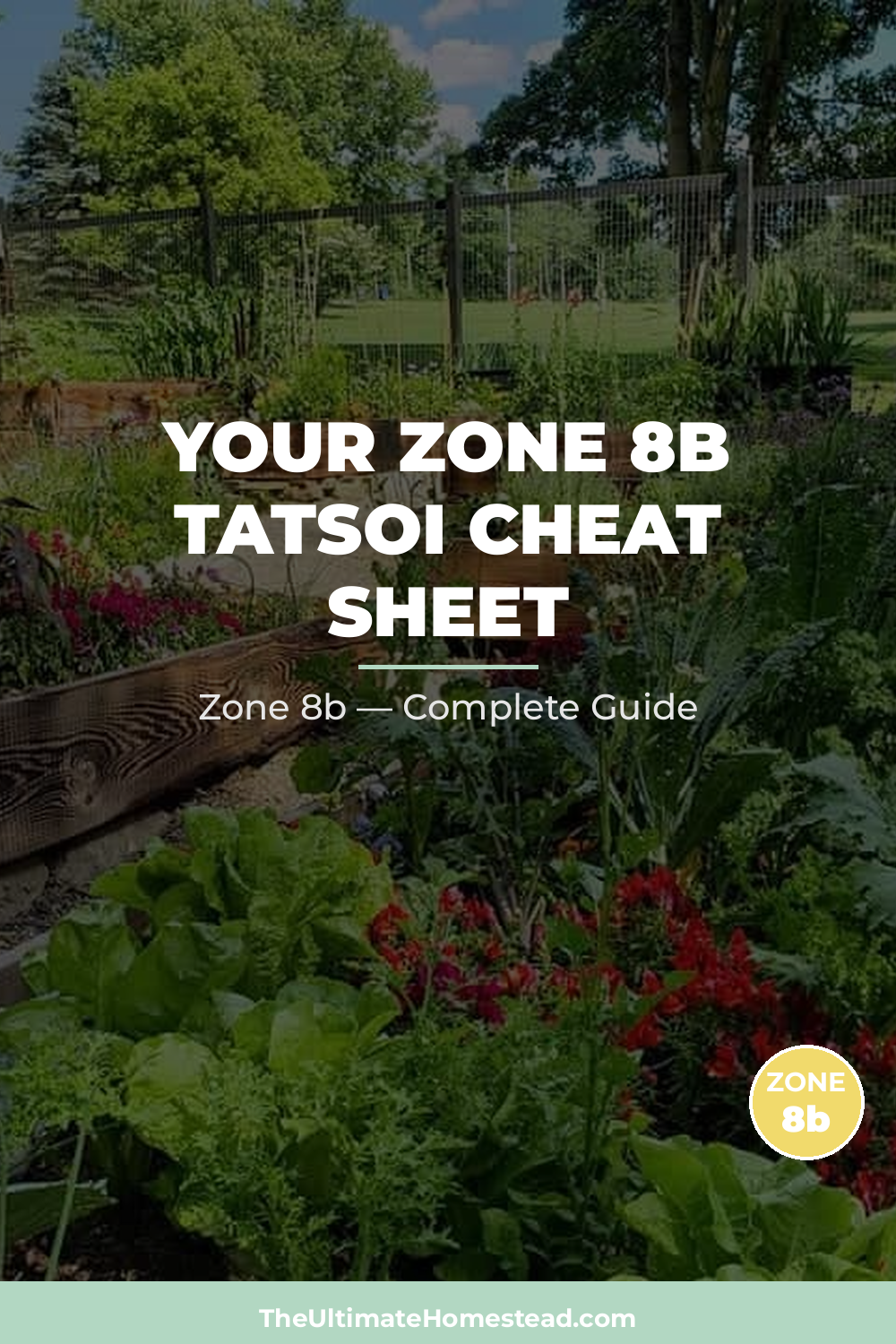 When to Plant Tatsoi in Zone 8b