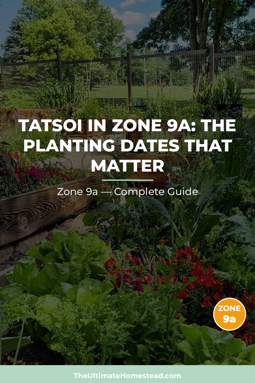 When to Plant Tatsoi in Zone 9a