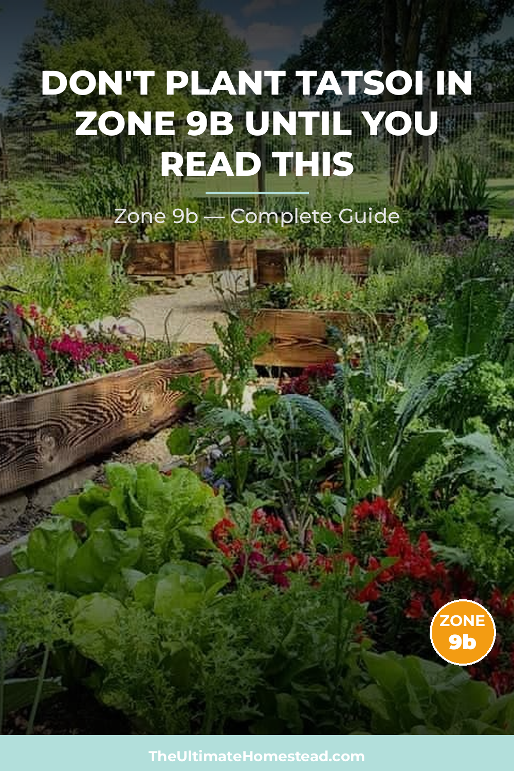 When to Plant Tatsoi in Zone 9b