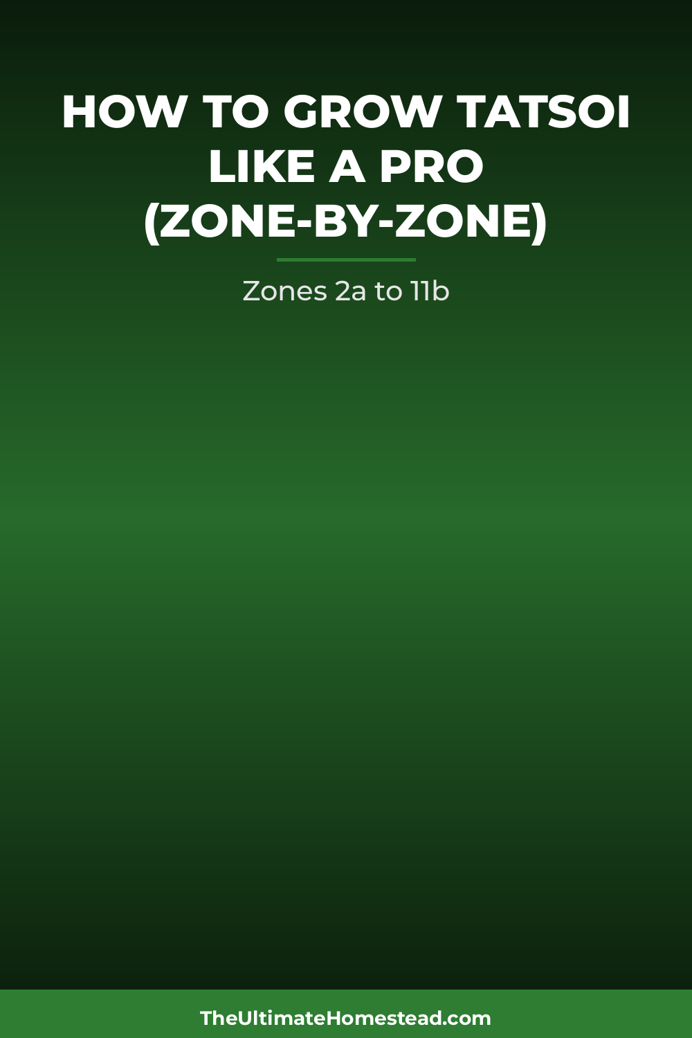 Tatsoi Planting Guide