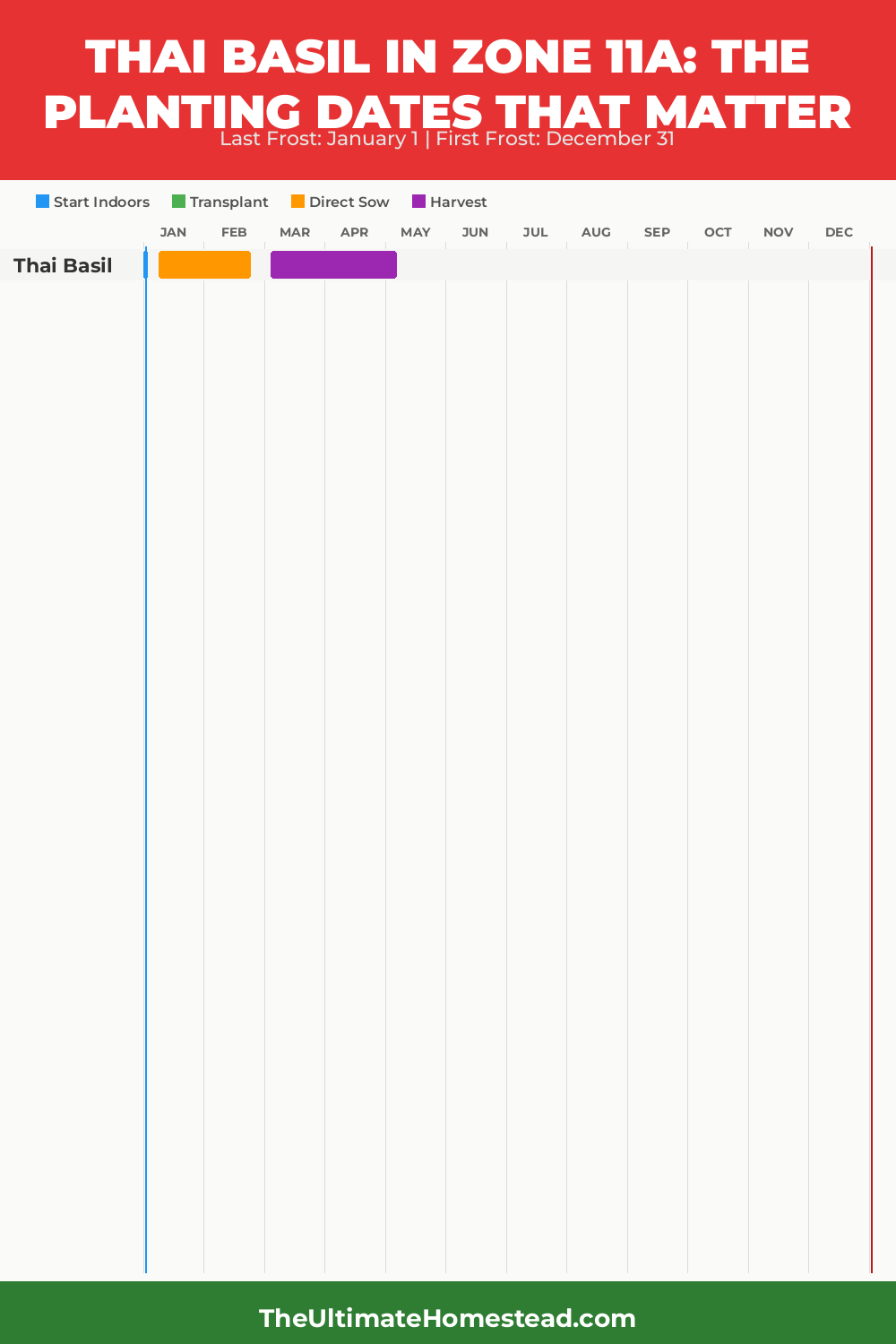 When to Plant Thai Basil in Zone 11a