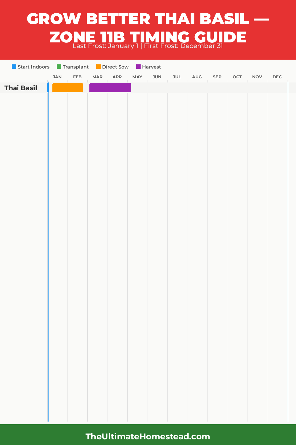When to Plant Thai Basil in Zone 11b