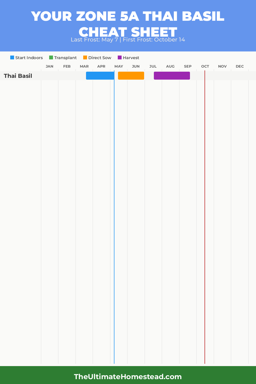 When to Plant Thai Basil in Zone 5a