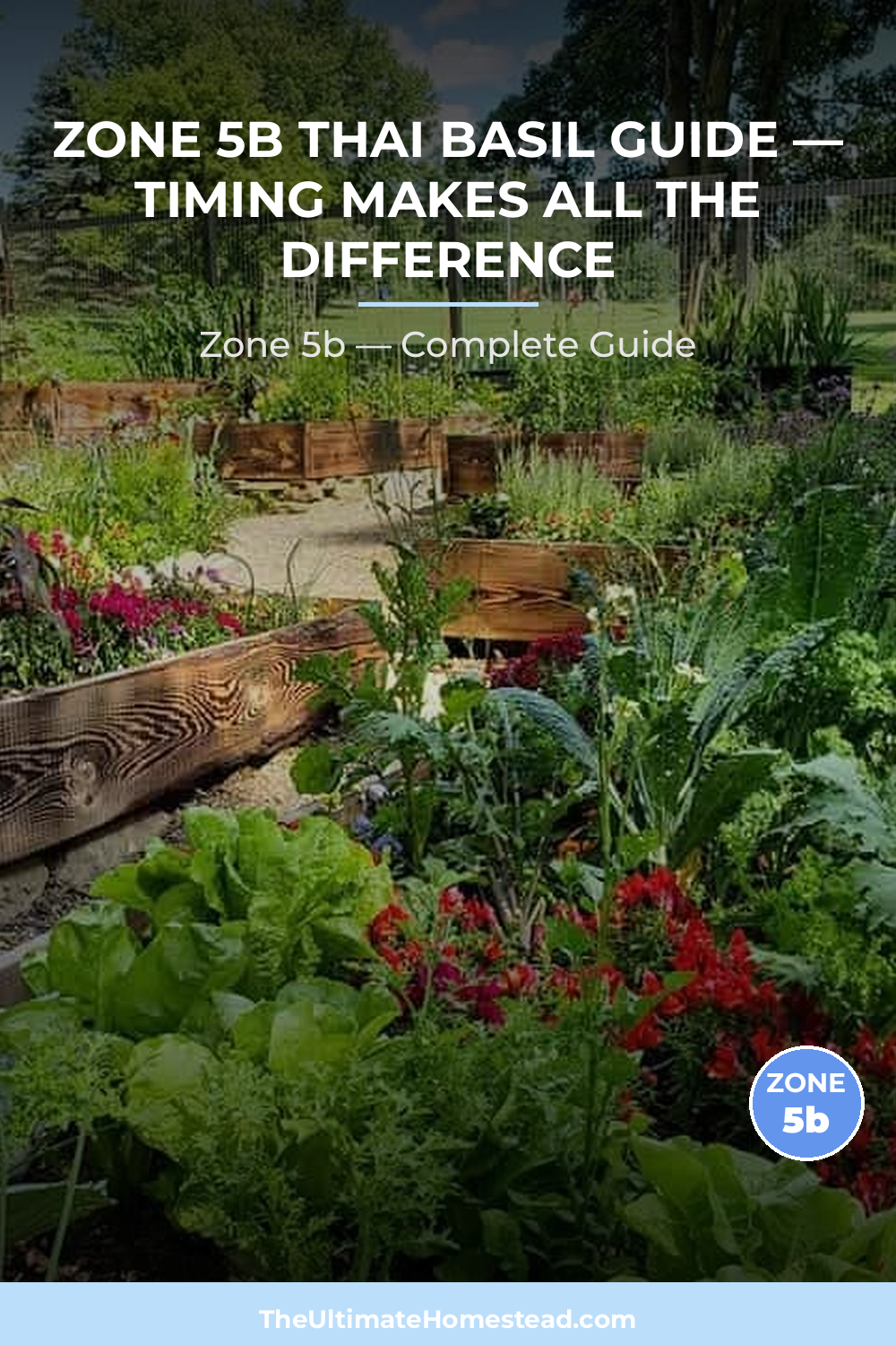 When to Plant Thai Basil in Zone 5b