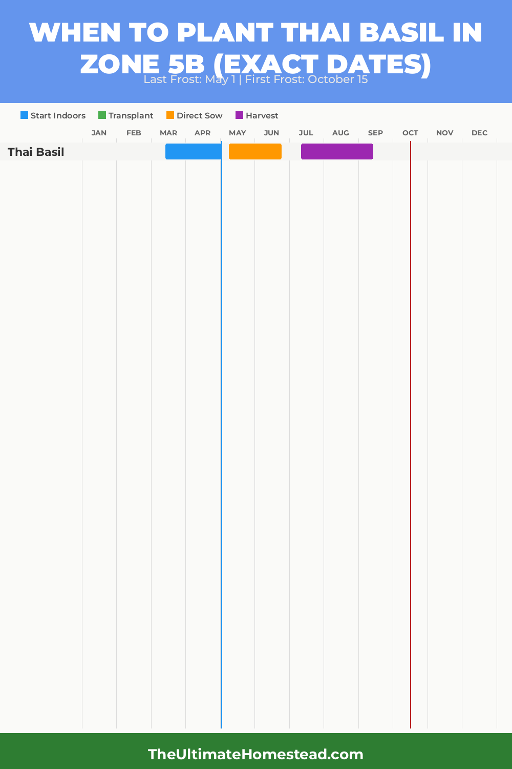 When to Plant Thai Basil in Zone 5b