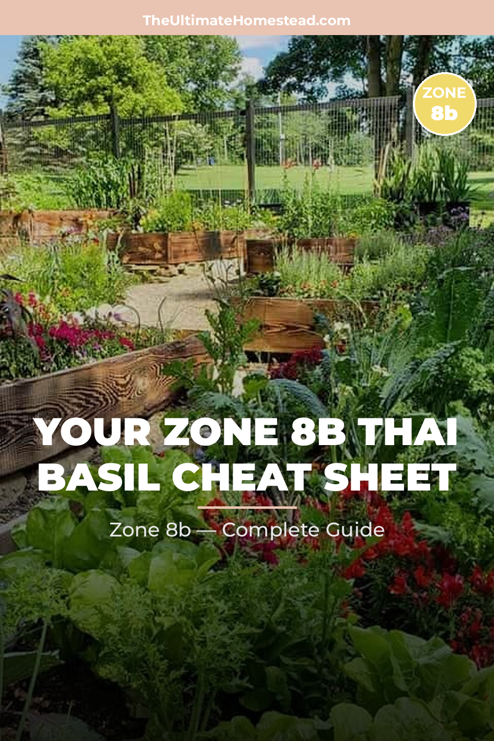 When to Plant Thai Basil in Zone 8b