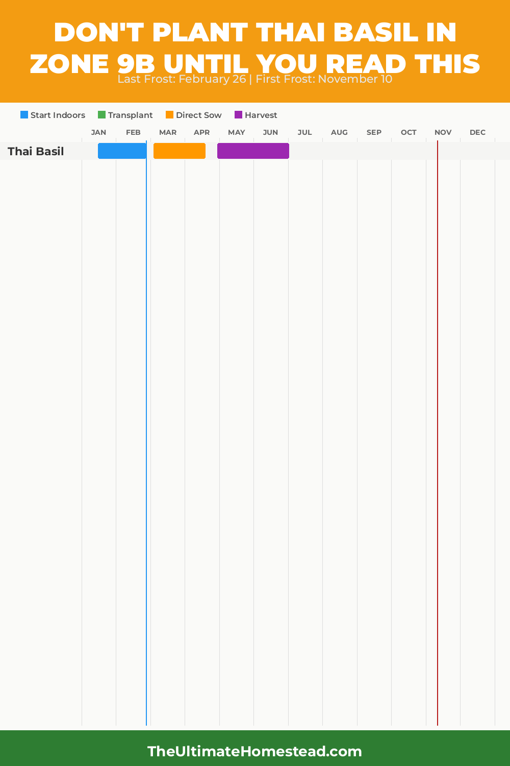 When to Plant Thai Basil in Zone 9b