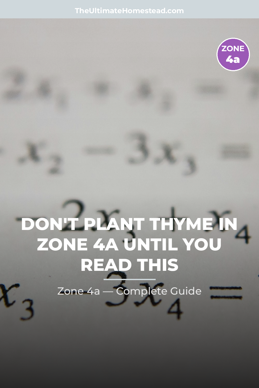 When to Plant Thyme in Zone 4a