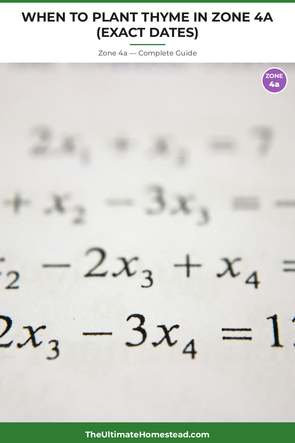 When to Plant Thyme in Zone 4a