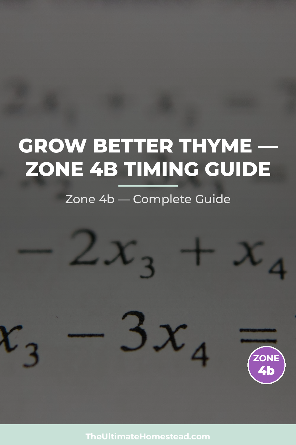 When to Plant Thyme in Zone 4b