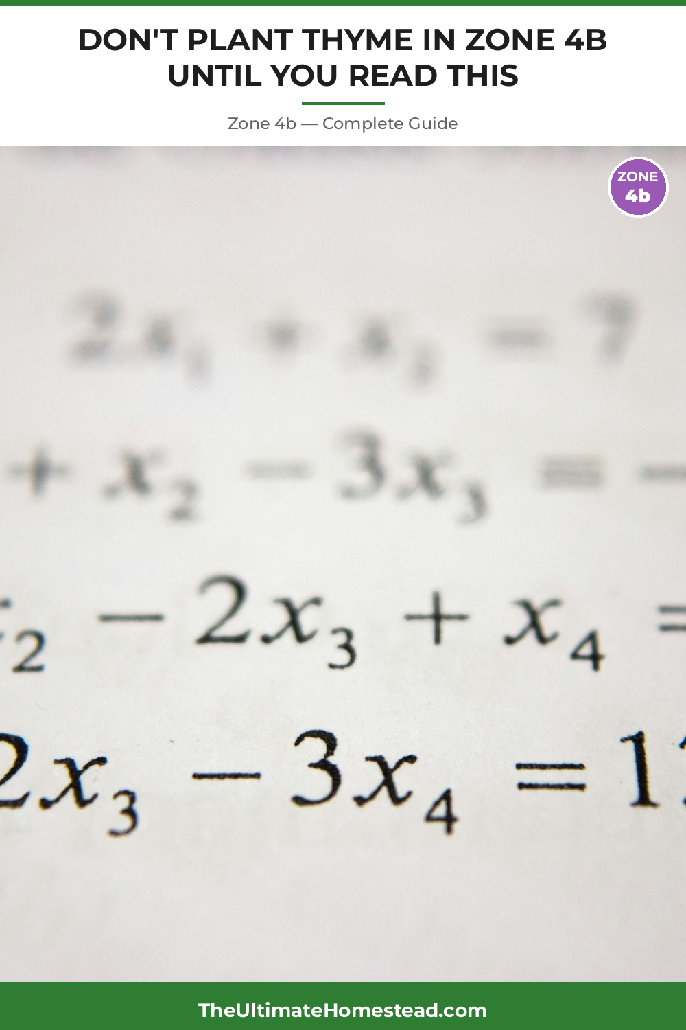 When to Plant Thyme in Zone 4b