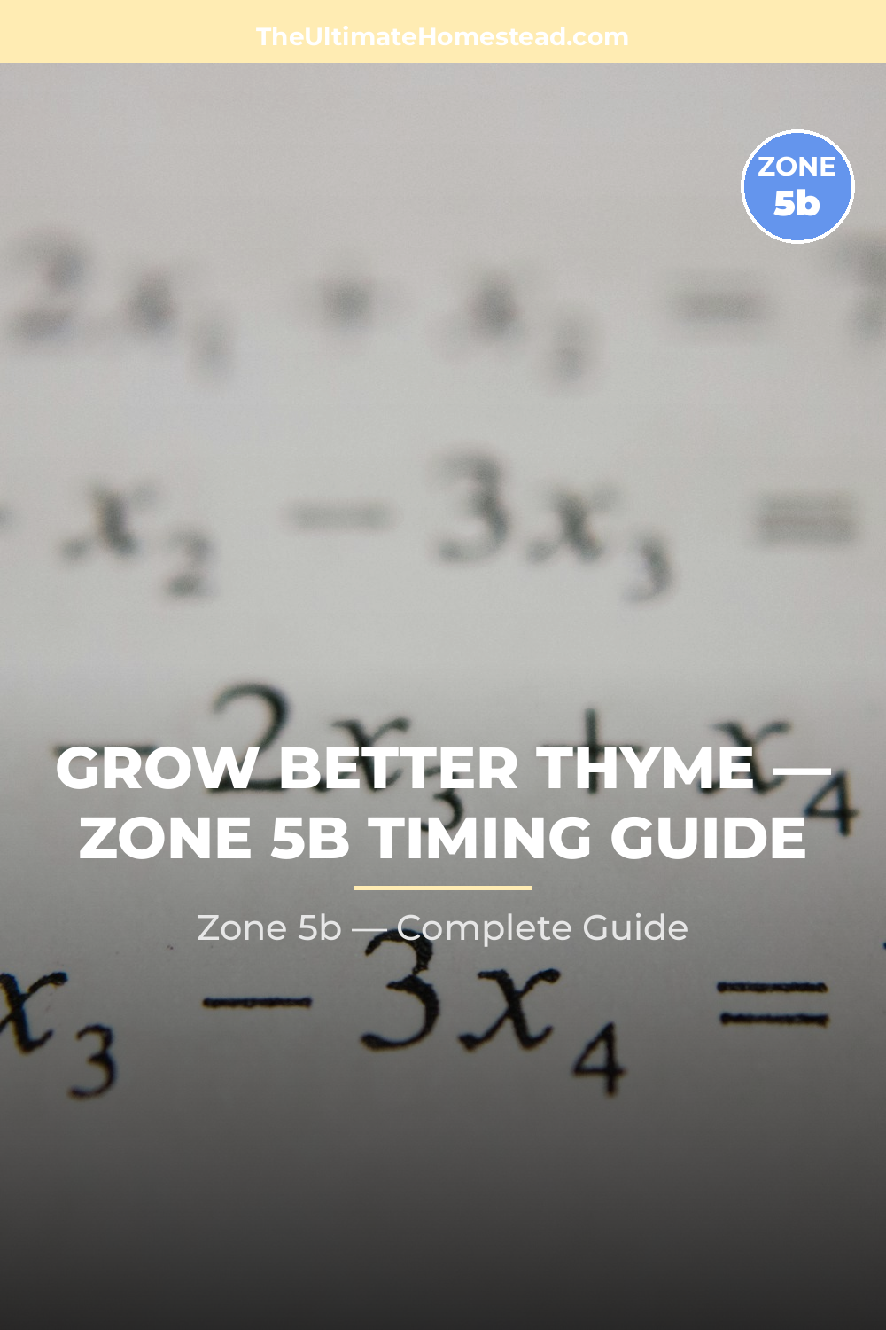 When to Plant Thyme in Zone 5b