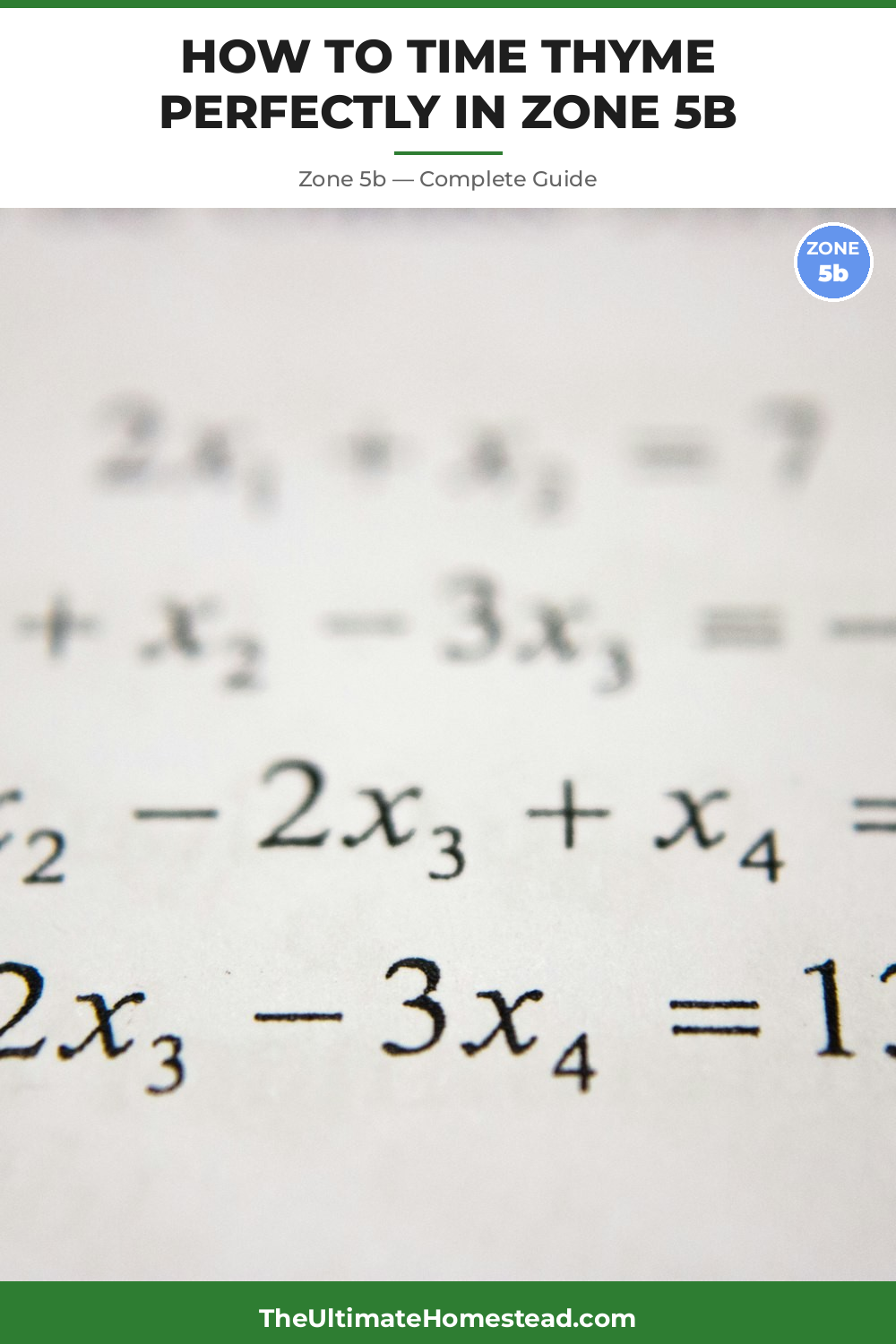 When to Plant Thyme in Zone 5b