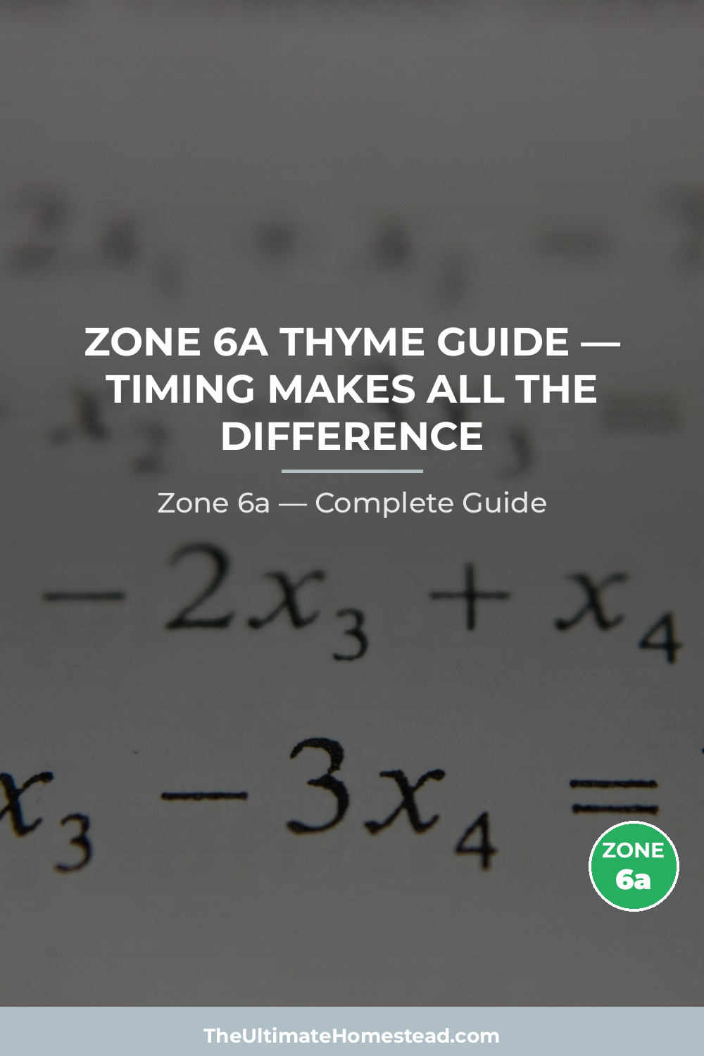 When to Plant Thyme in Zone 6a