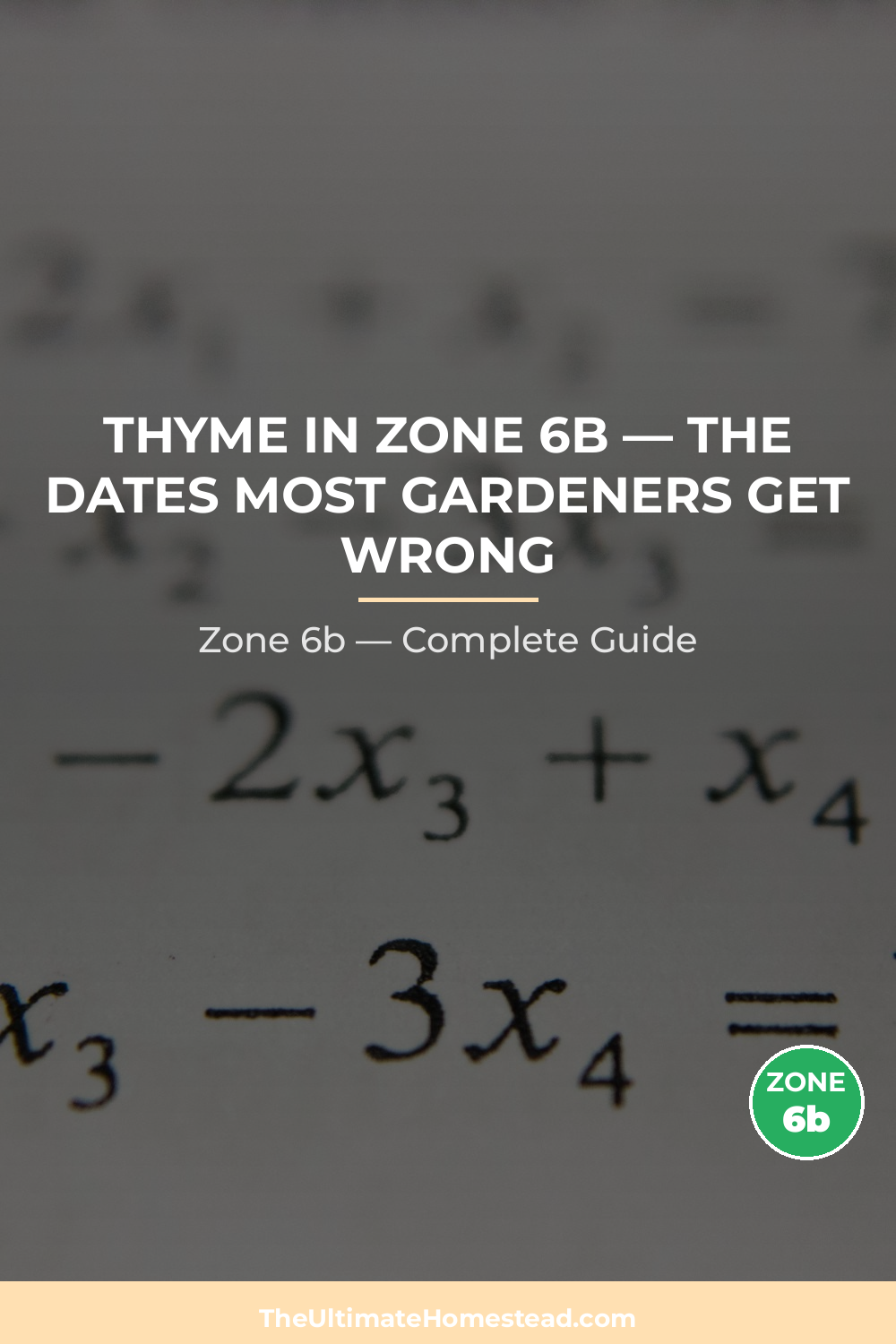 When to Plant Thyme in Zone 6b