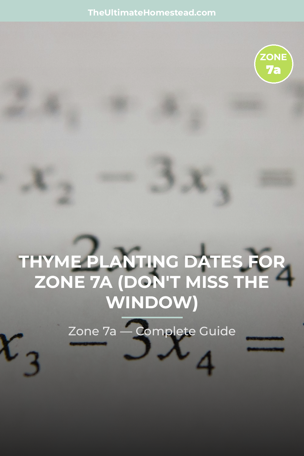 When to Plant Thyme in Zone 7a