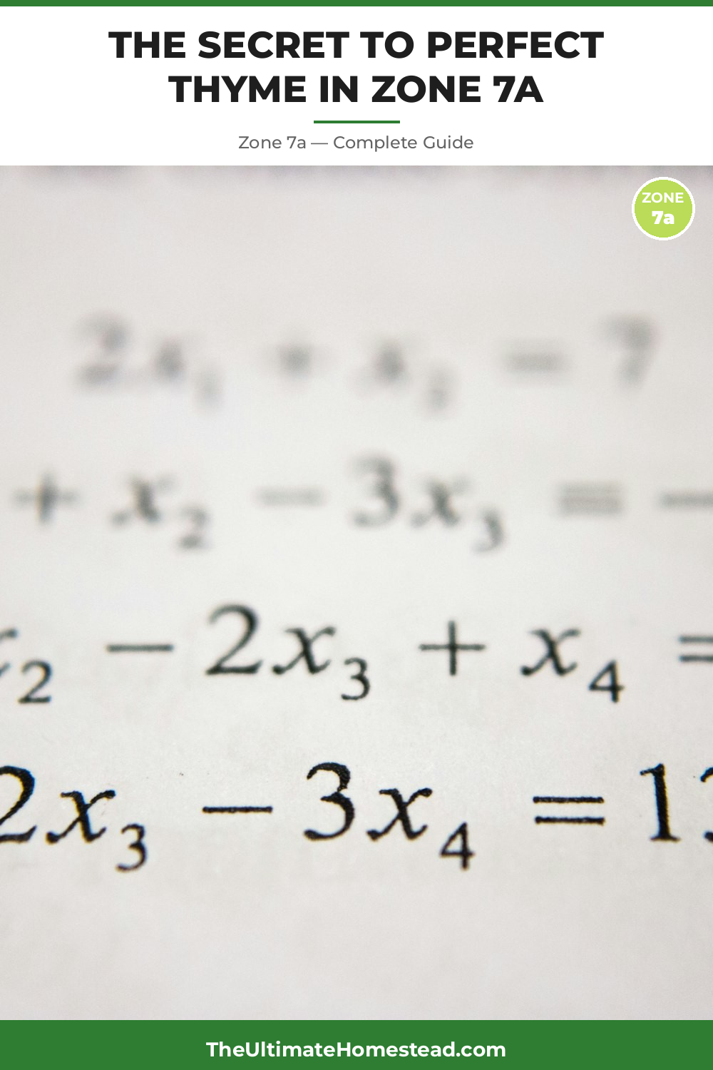 When to Plant Thyme in Zone 7a