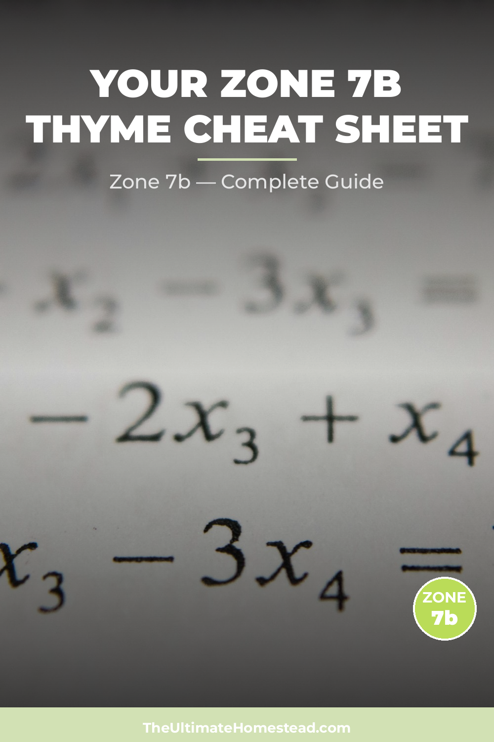 When to Plant Thyme in Zone 7b