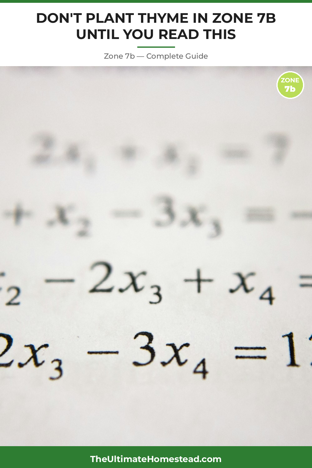 When to Plant Thyme in Zone 7b