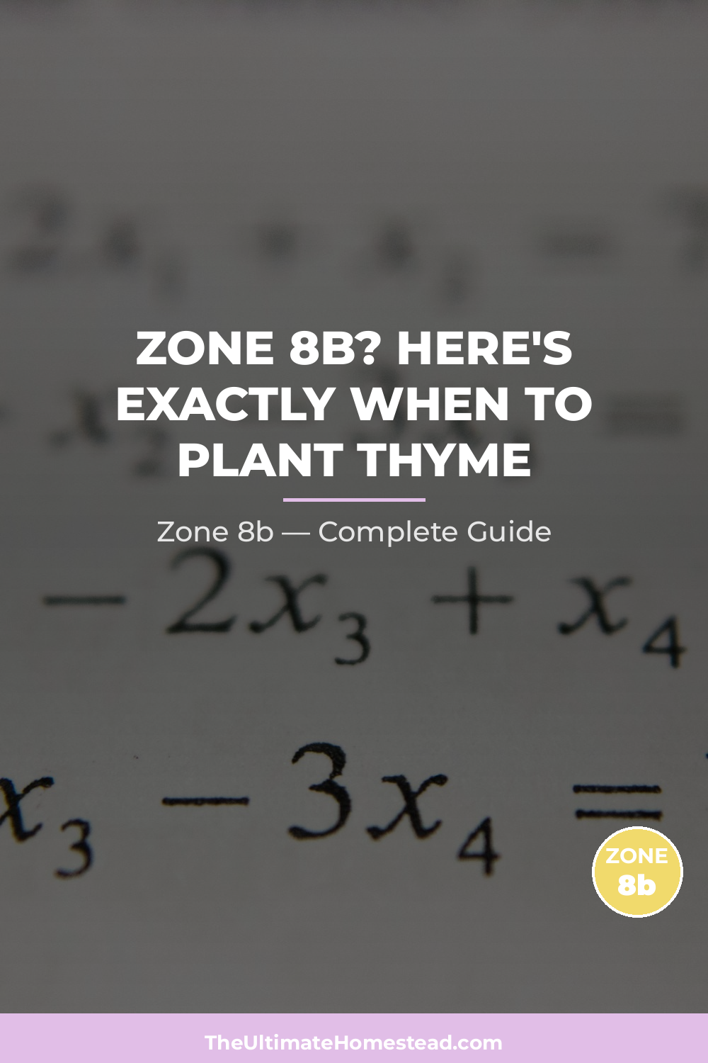 When to Plant Thyme in Zone 8b