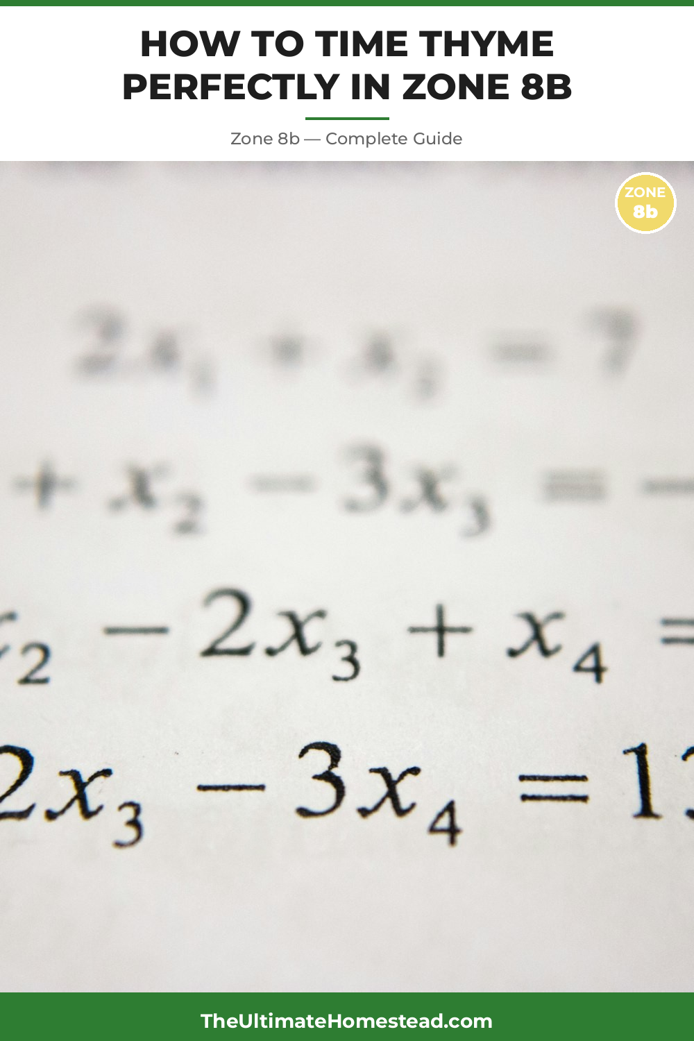 When to Plant Thyme in Zone 8b