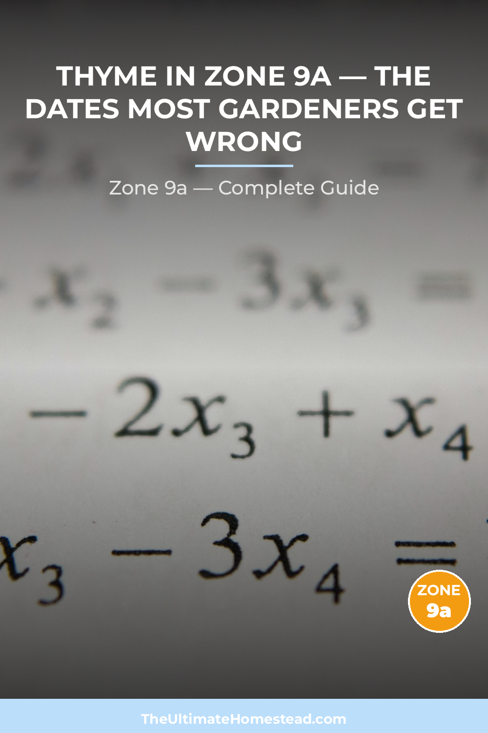 When to Plant Thyme in Zone 9a