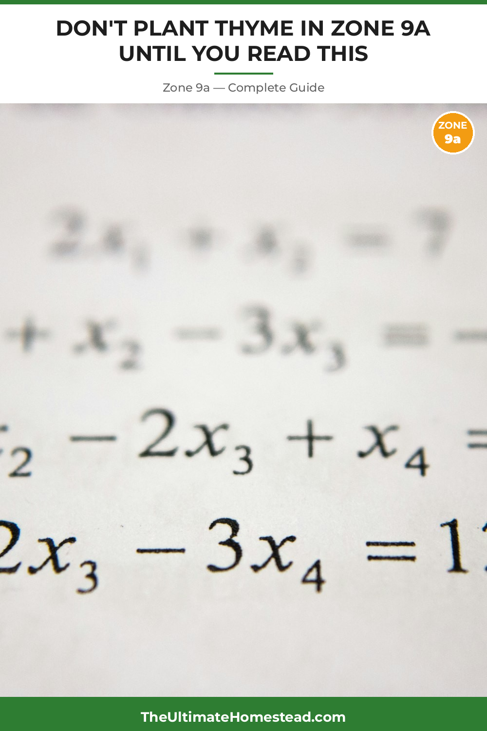 When to Plant Thyme in Zone 9a