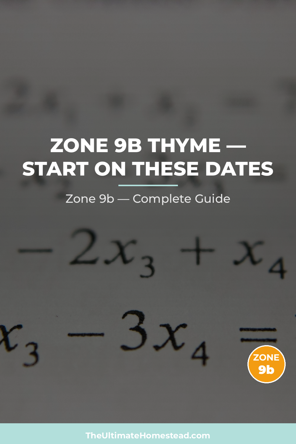 When to Plant Thyme in Zone 9b