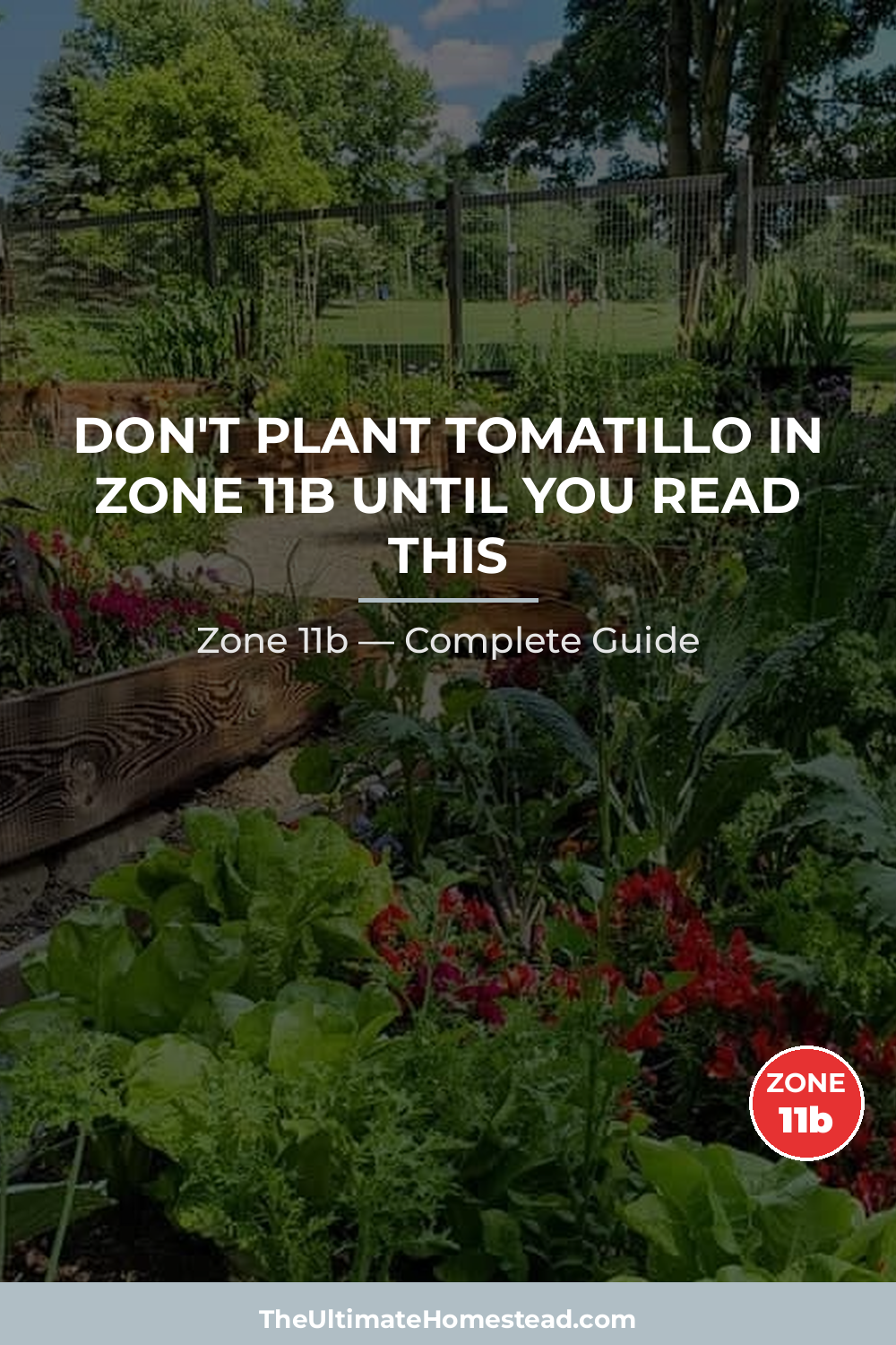 When to Plant Tomatillo in Zone 11b