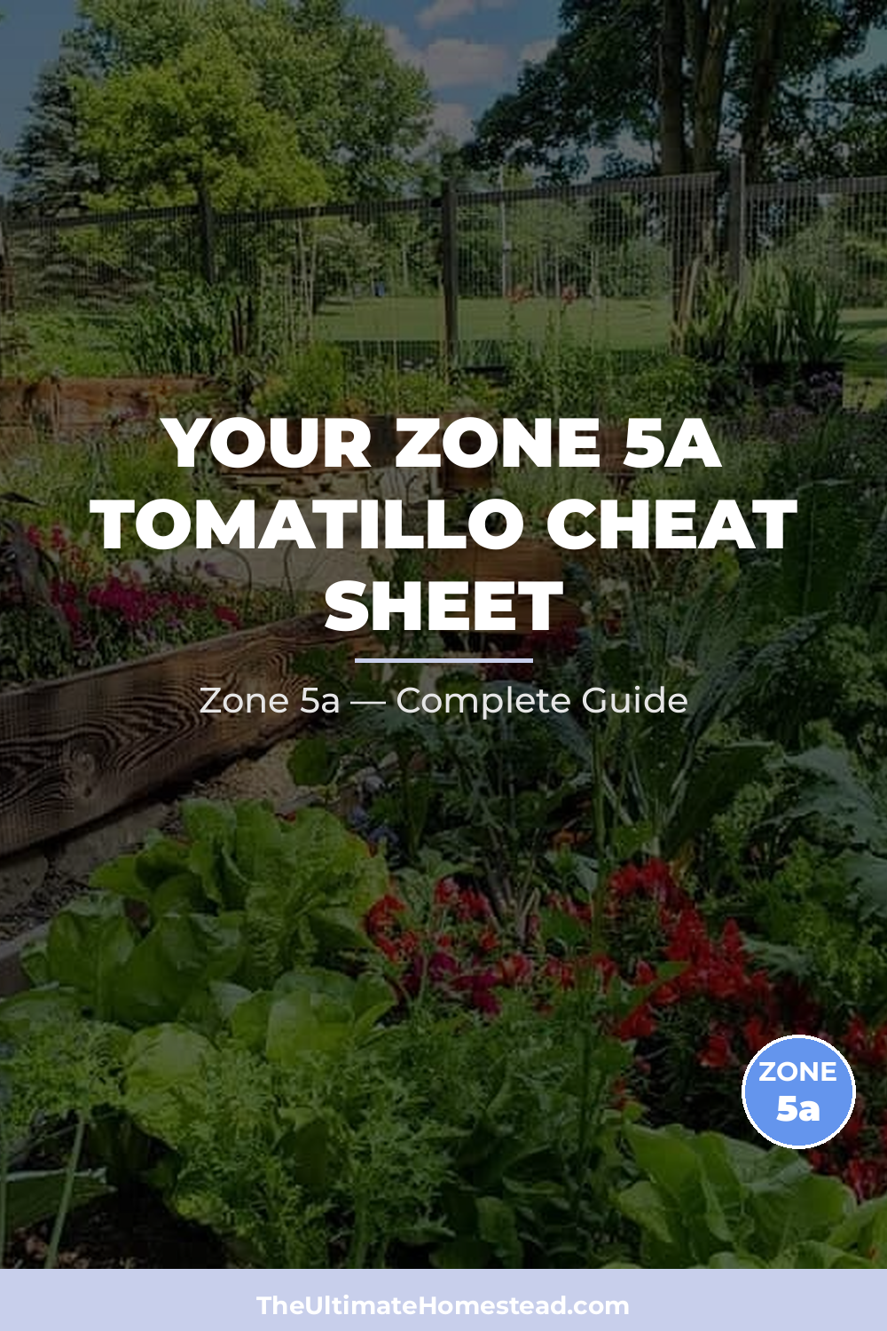 When to Plant Tomatillo in Zone 5a