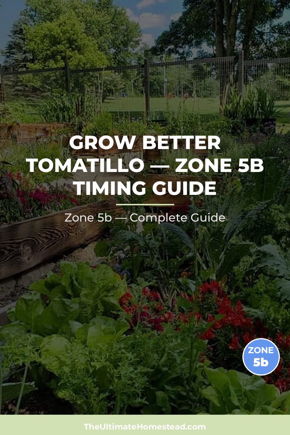 When to Plant Tomatillo in Zone 5b