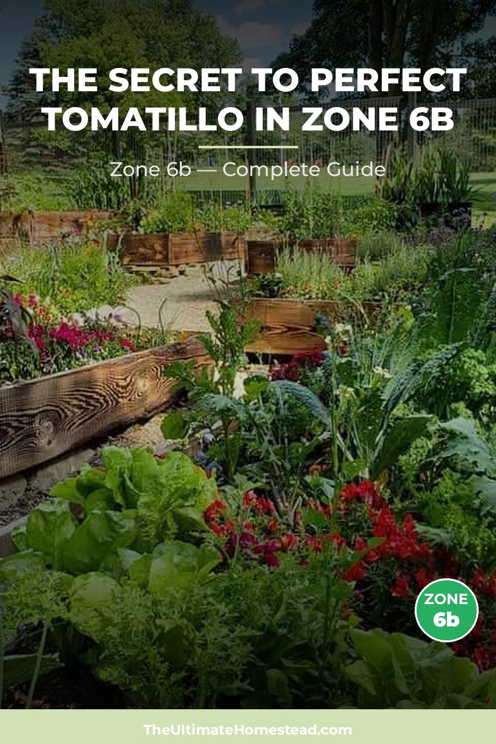 When to Plant Tomatillo in Zone 6b