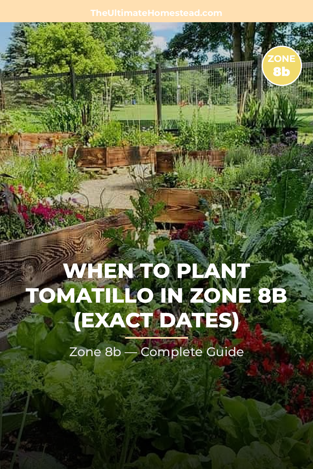 When to Plant Tomatillo in Zone 8b