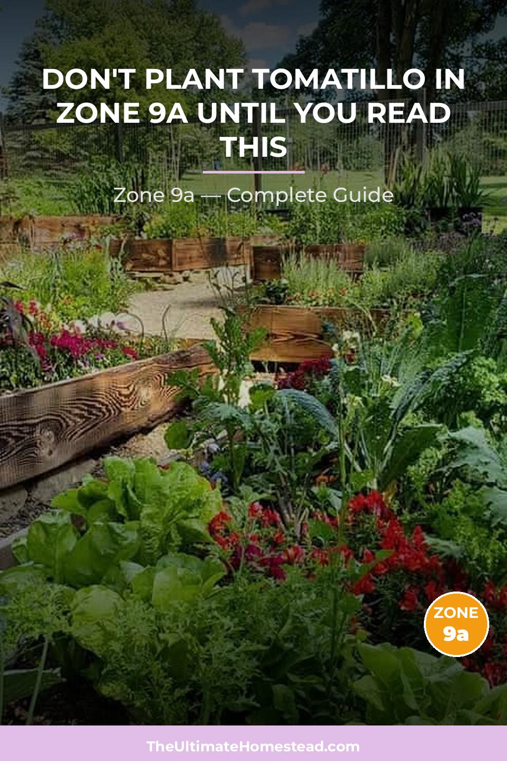 When to Plant Tomatillo in Zone 9a