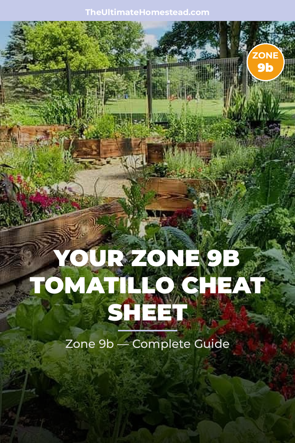 When to Plant Tomatillo in Zone 9b