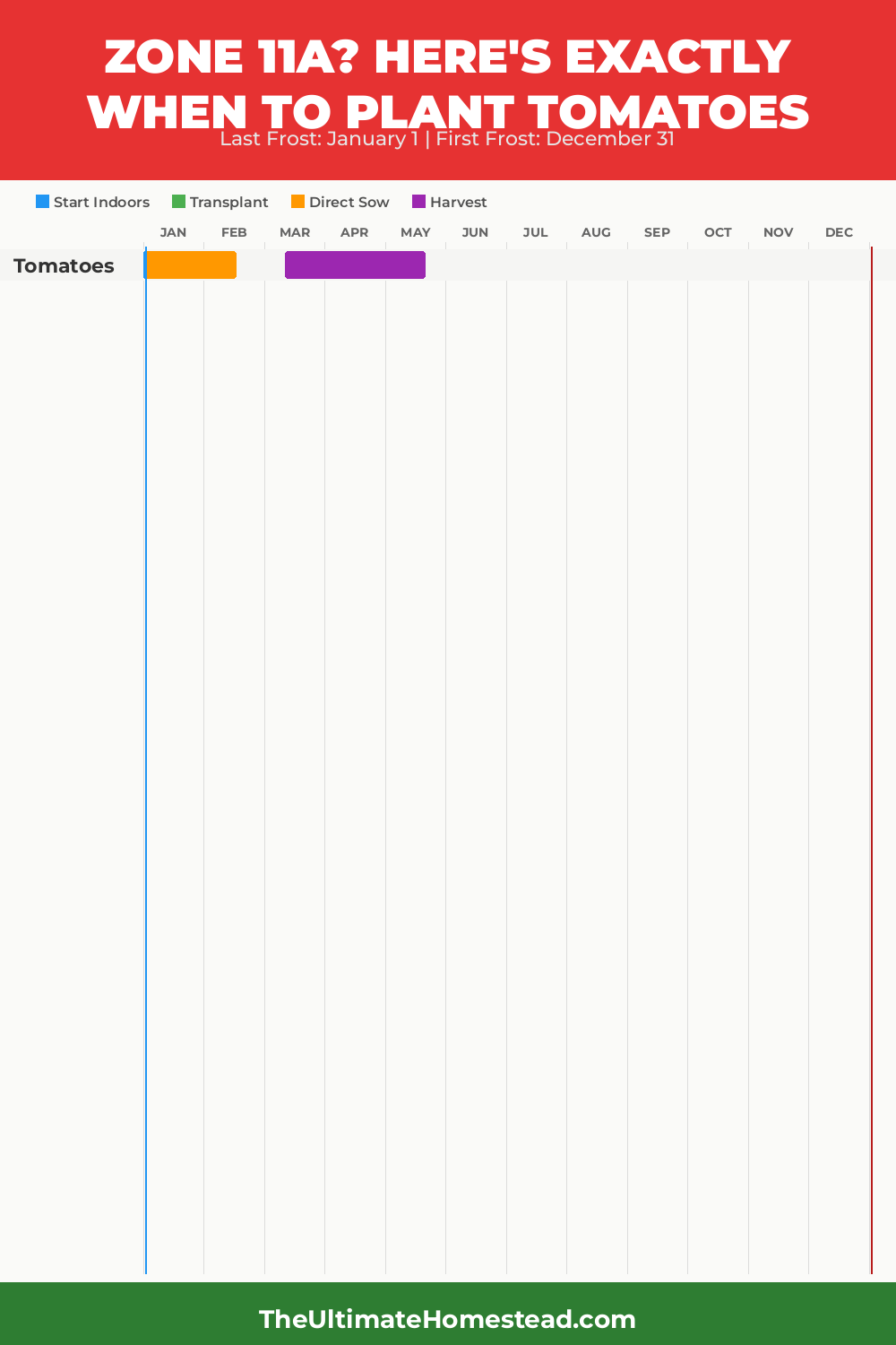 When to Plant Tomatoes in Zone 11a