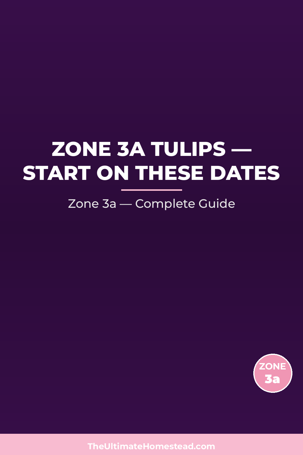 When to Plant Tulips in Zone 3a