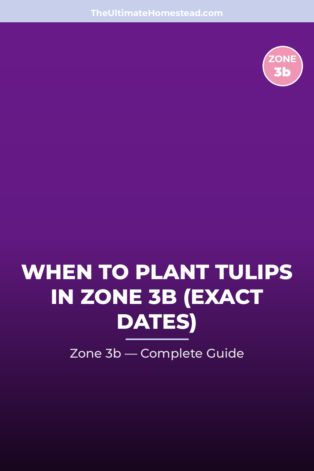 When to Plant Tulips in Zone 3b