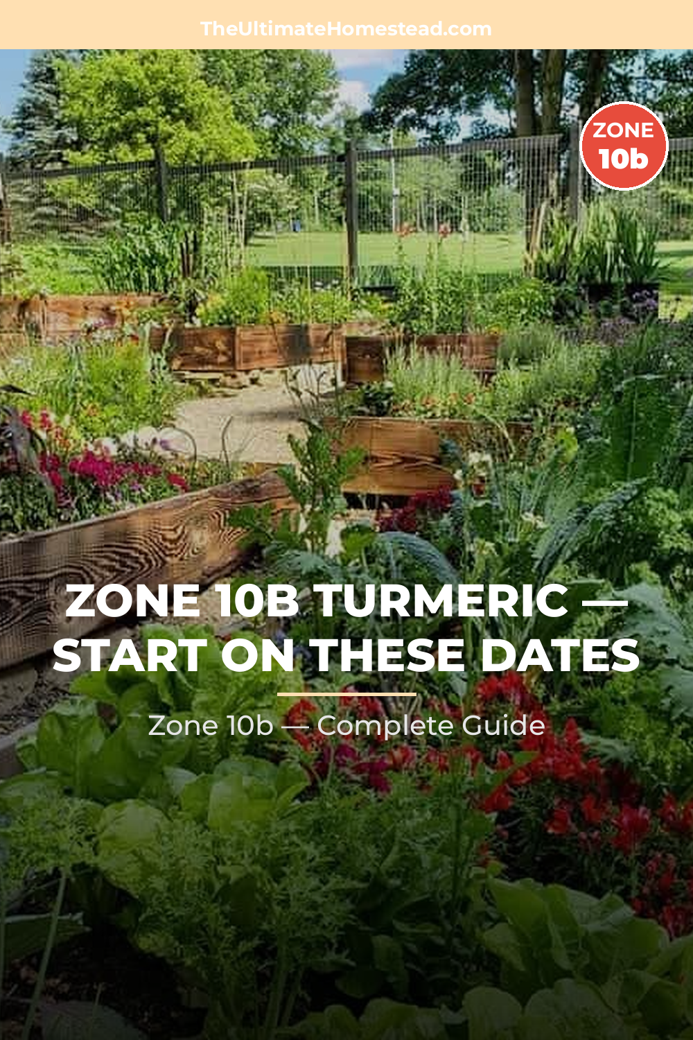 When to Plant Turmeric in Zone 10b