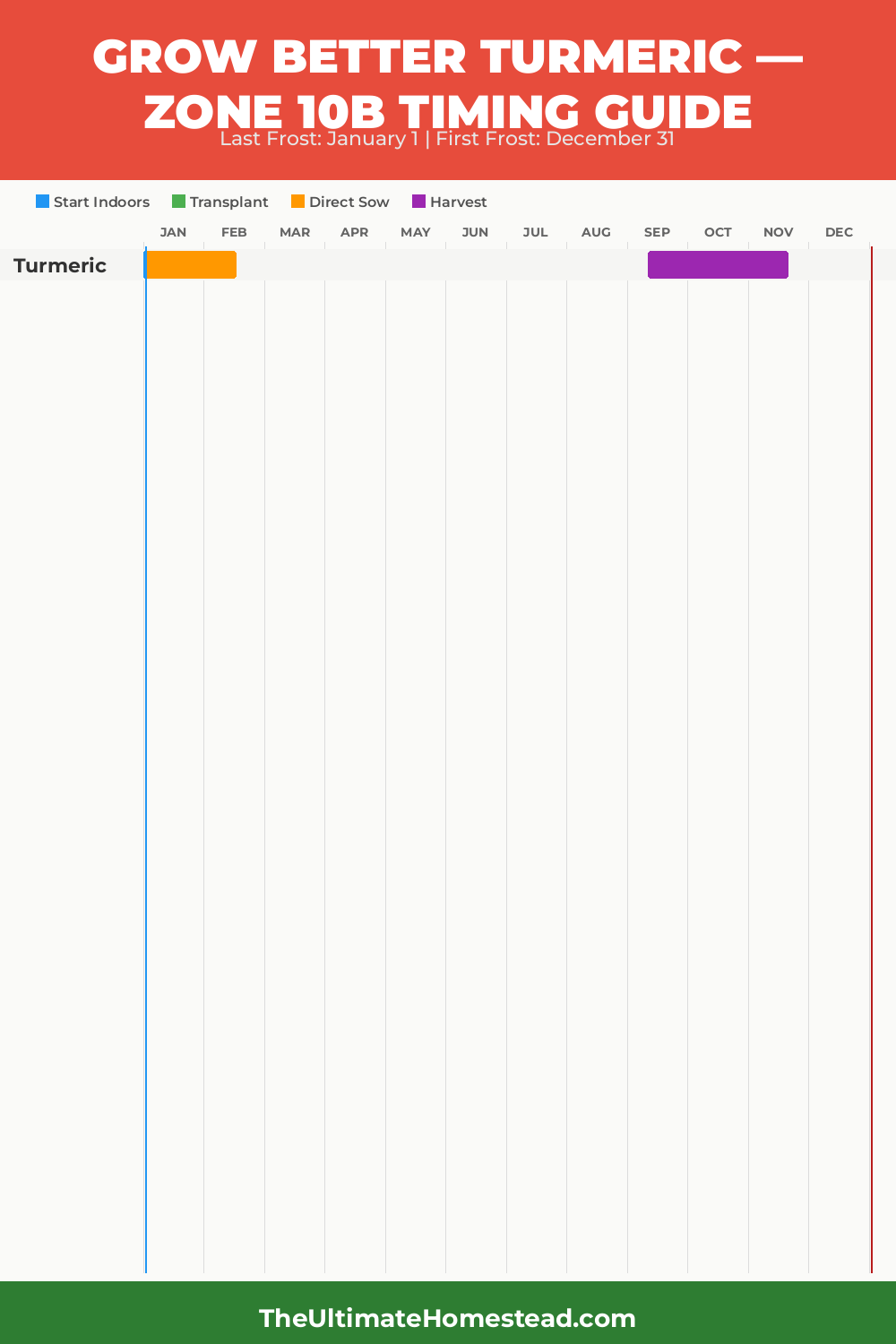 When to Plant Turmeric in Zone 10b