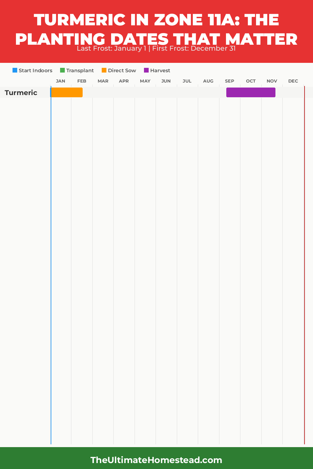 When to Plant Turmeric in Zone 11a
