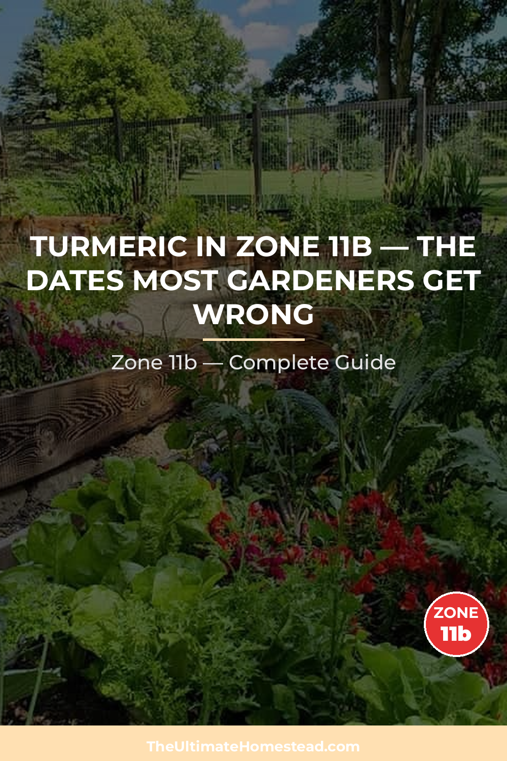When to Plant Turmeric in Zone 11b