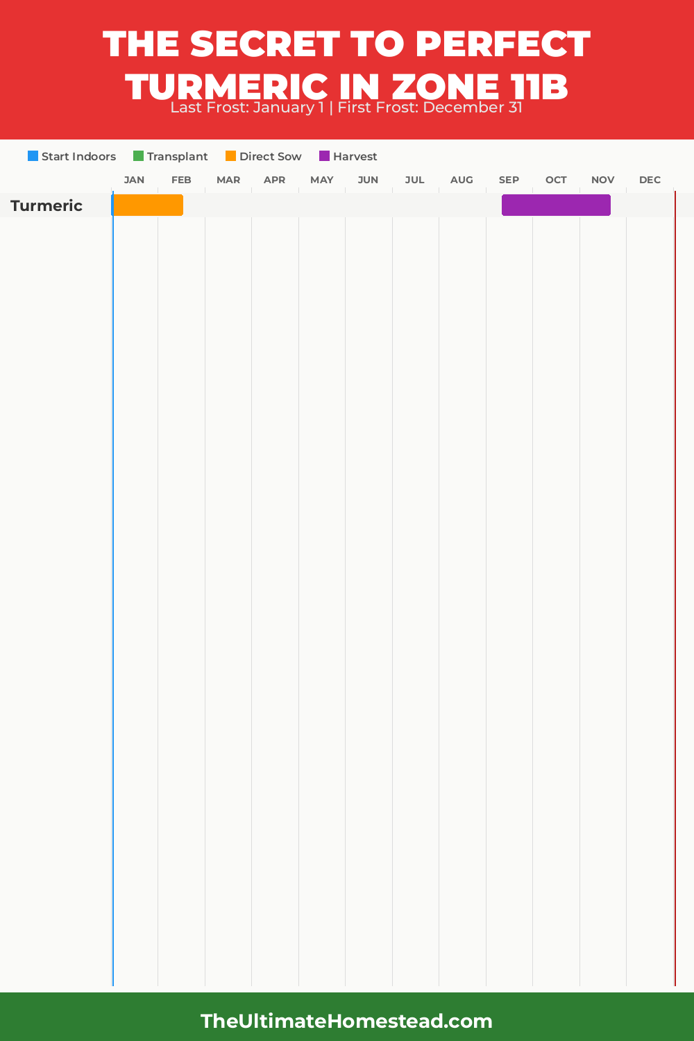 When to Plant Turmeric in Zone 11b