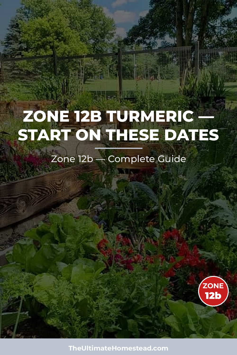 When to Plant Turmeric in Zone 12b