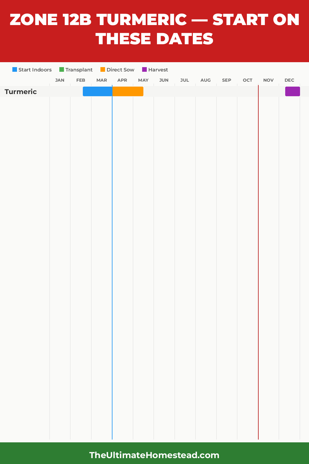 When to Plant Turmeric in Zone 12b